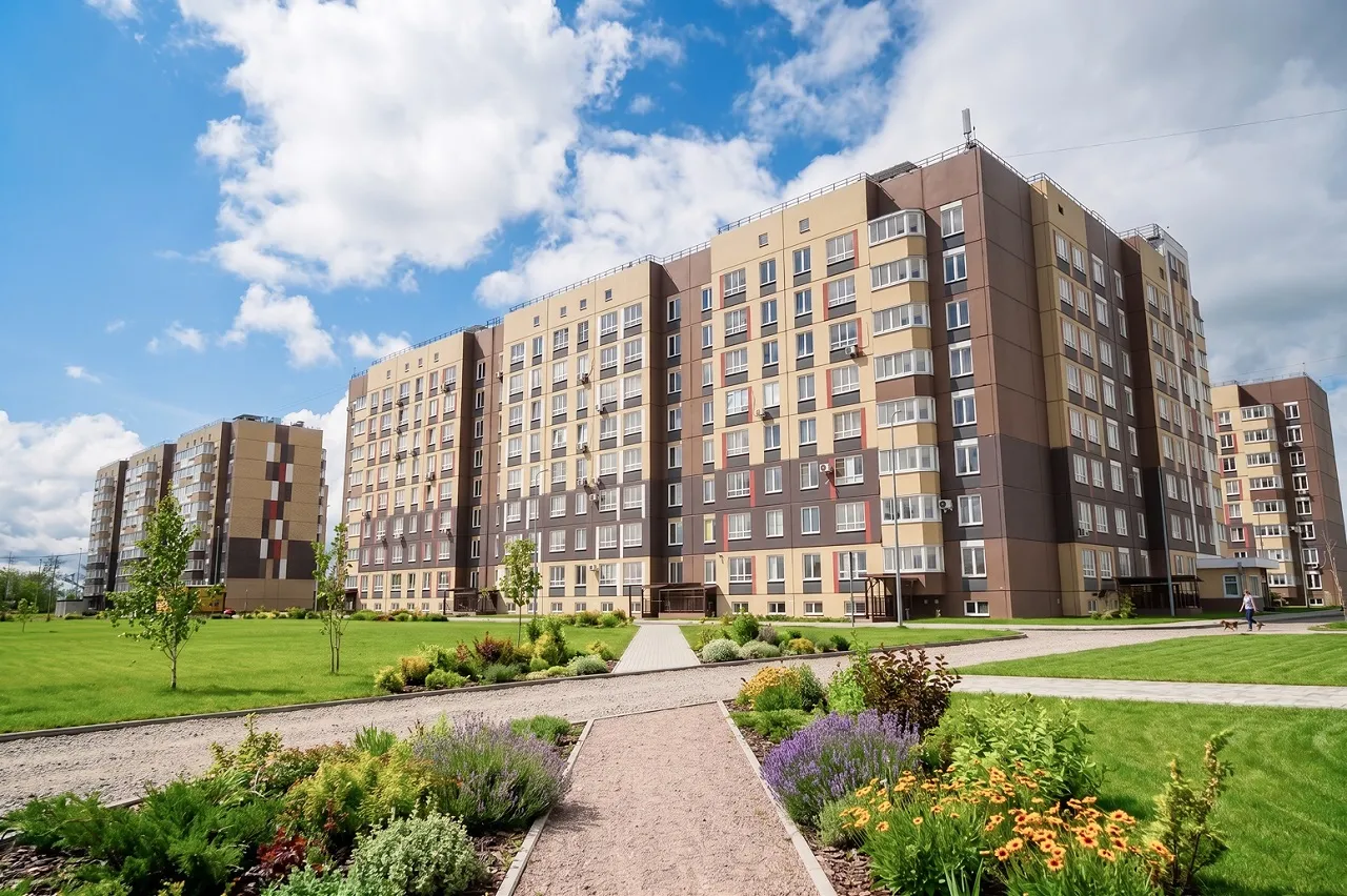 изображение проекта