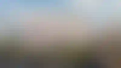 Свернуть