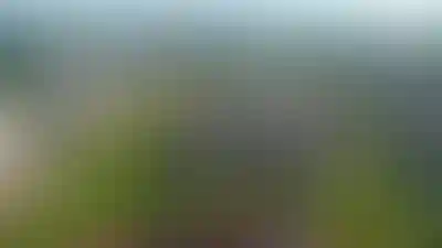 Свернуть