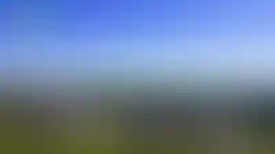 Свернуть