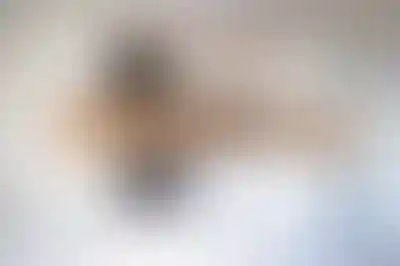 изображение хода строительства