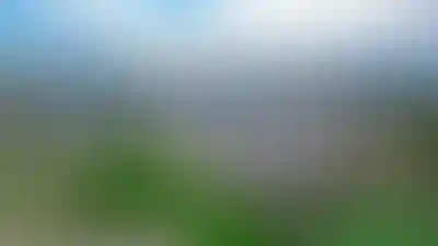 изображение объекта