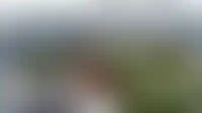 изображение объекта