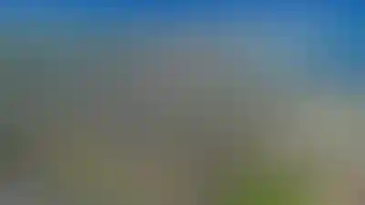 Свернуть