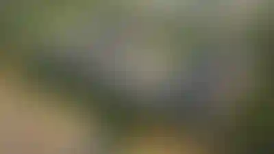 изображение проекта
