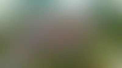 изображение планировки