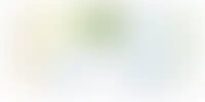 изображение планировки