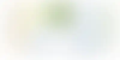 изображение планировки