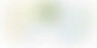 изображение планировки