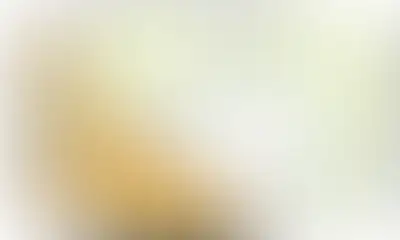 изображение планировки