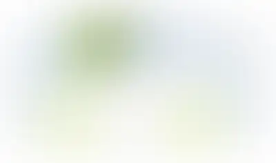 изображение планировки