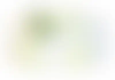 изображение планировки