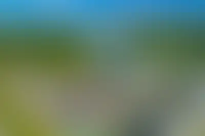 фоновое изображение