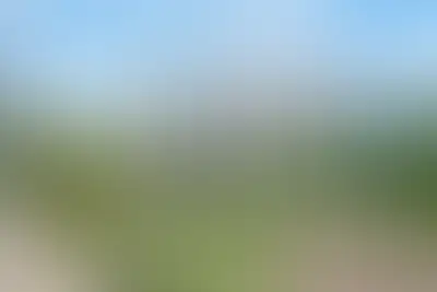 фоновое изображение