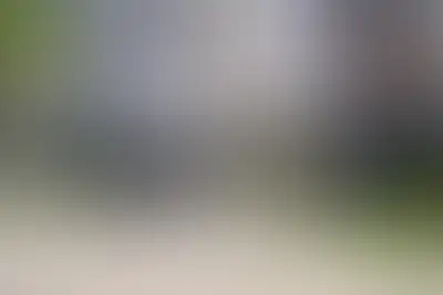 фоновое изображение