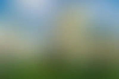 фоновое изображение
