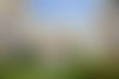 фоновое изображение