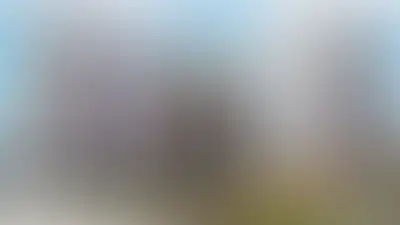 фоновое изображение