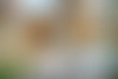 фоновое изображение