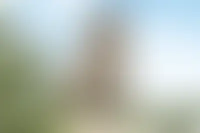 фоновое изображение