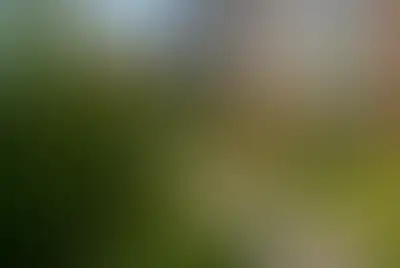 фоновое изображение