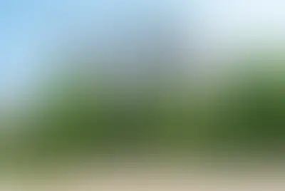 фоновое изображение