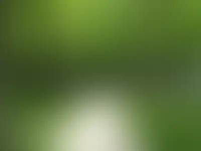 фоновое изображение