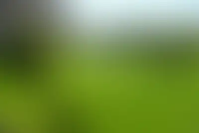 фоновое изображение
