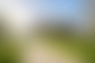 фоновое изображение