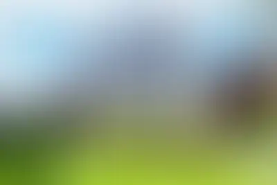 фоновое изображение