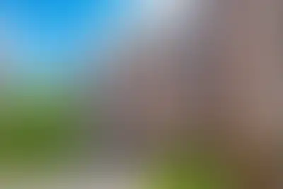 фоновое изображение