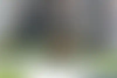 фоновое изображение