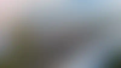 фоновое изображение