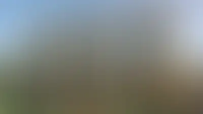 фоновое изображение