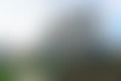 фоновое изображение