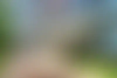 фоновое изображение