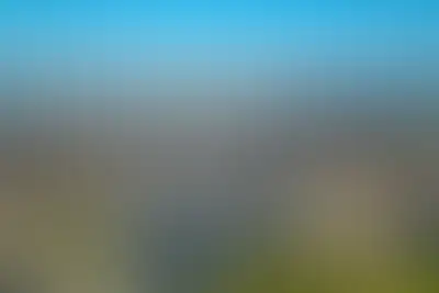фоновое изображение