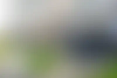 фоновое изображение