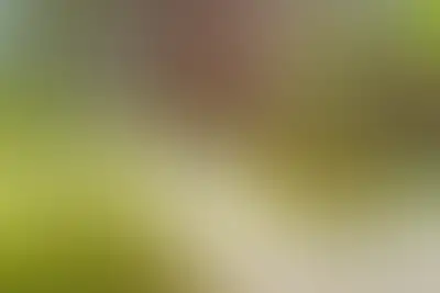 фоновое изображение