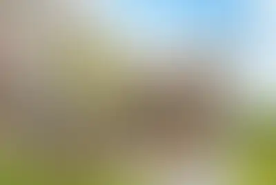 фоновое изображение