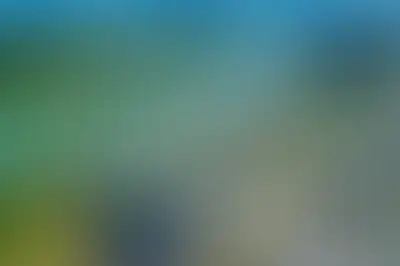 фоновое изображение