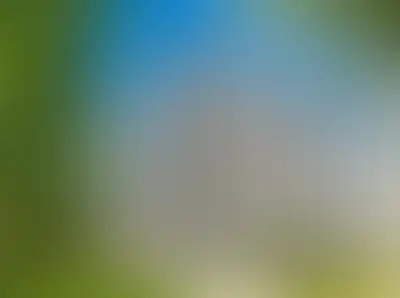 фоновое изображение