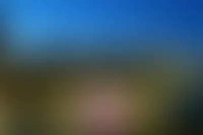 фоновое изображение