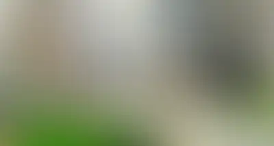 фоновое изображение