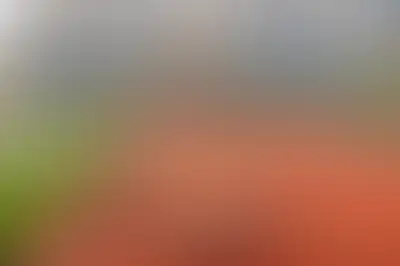 фоновое изображение