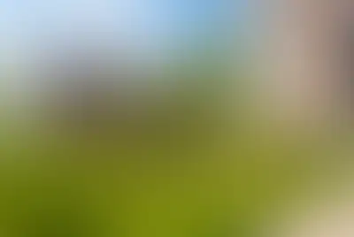фоновое изображение