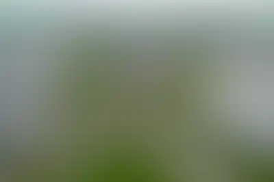 фоновое изображение