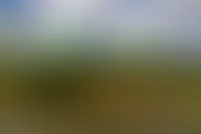 фоновое изображение