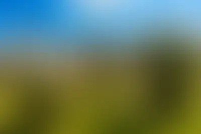 фоновое изображение