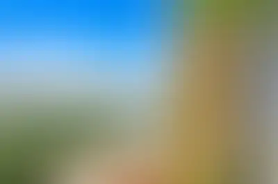 фоновое изображение
